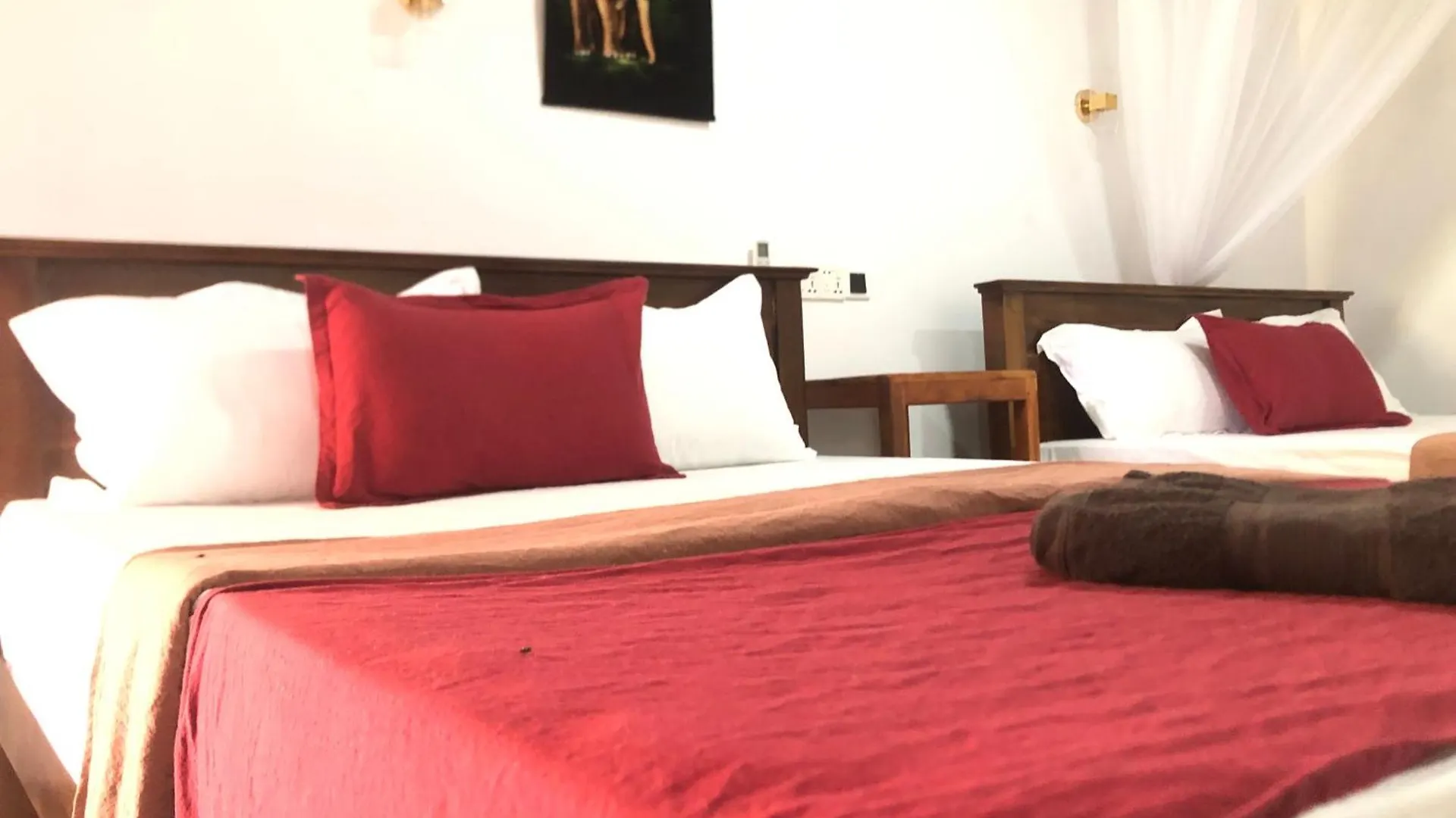 Sigiriya Moonlight Home Homestay