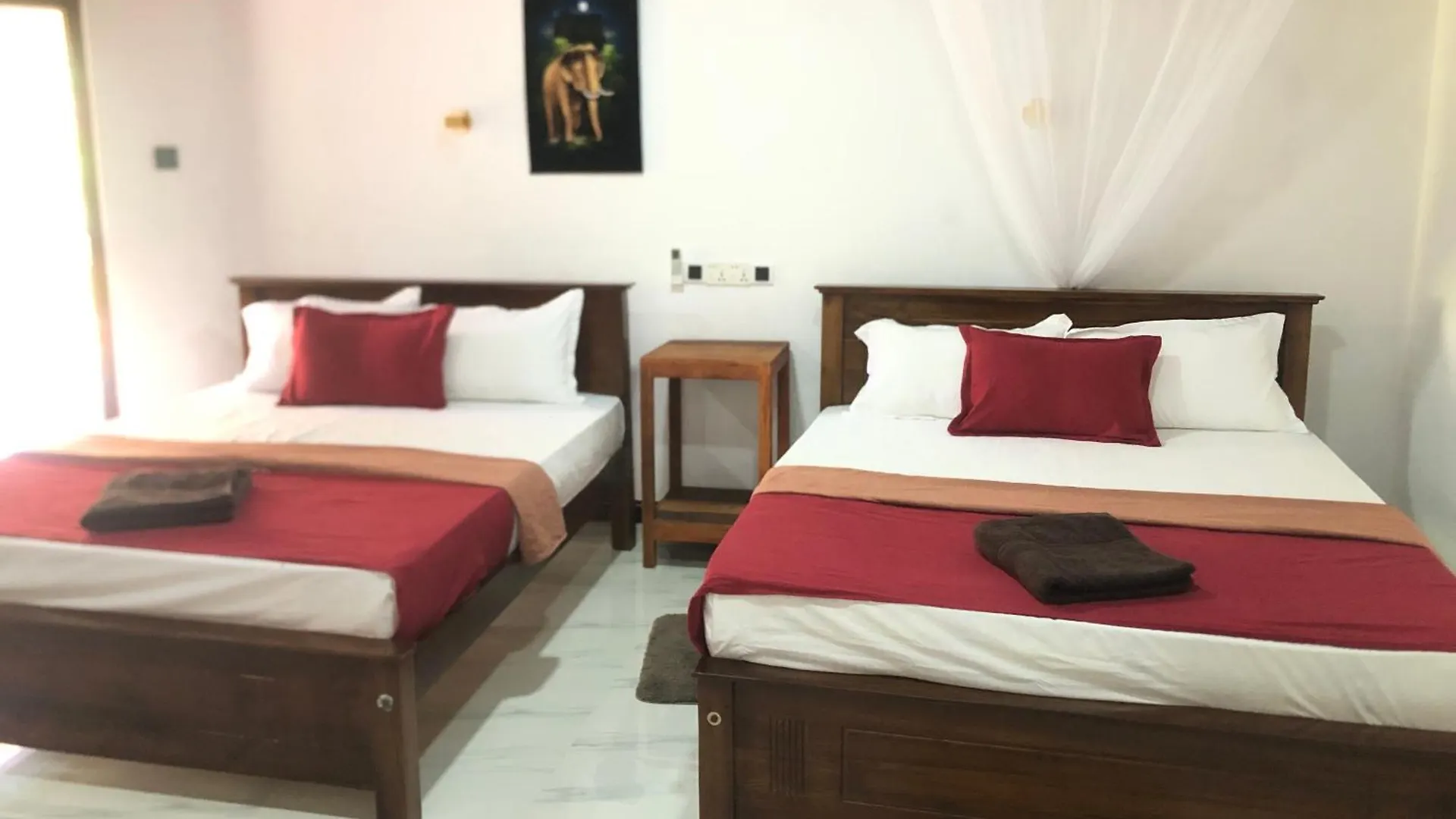 Homestay Sigiriya Moonlight Home