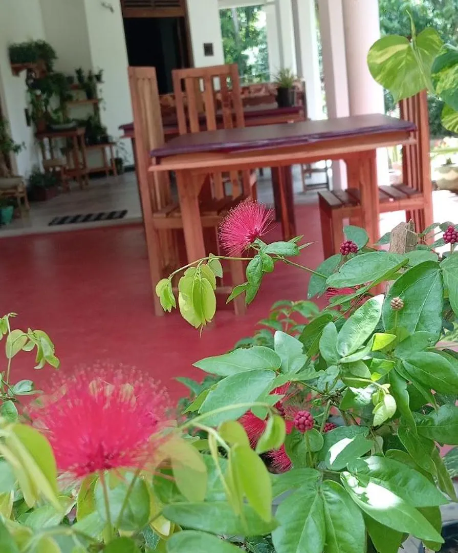 Homestay Sigiriya Moonlight Home Sri Lanka