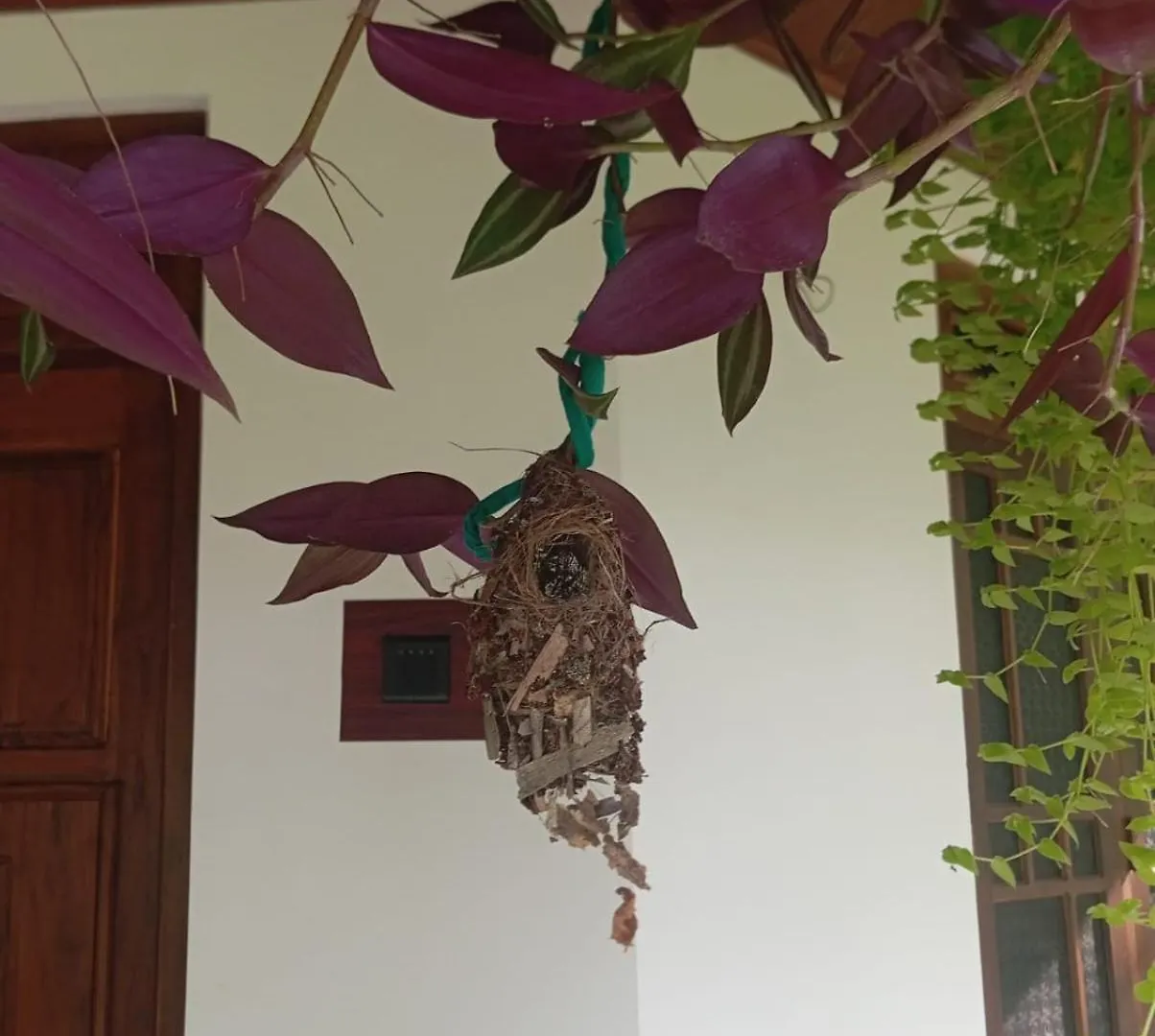 Homestay Sigiriya Moonlight Home