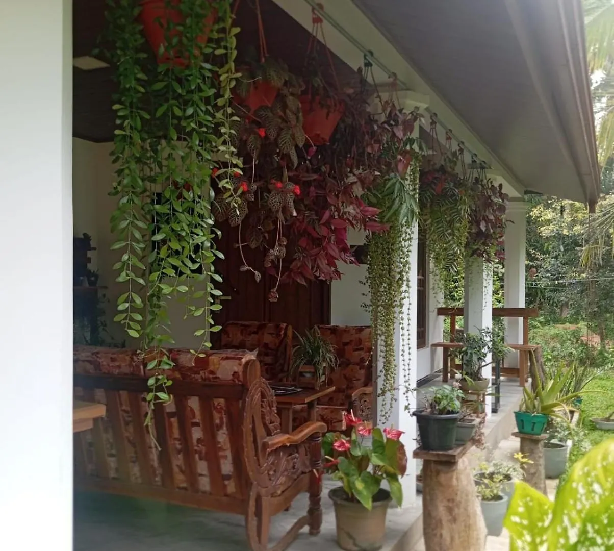 Homestay Sigiriya Moonlight Home Sri Lanka